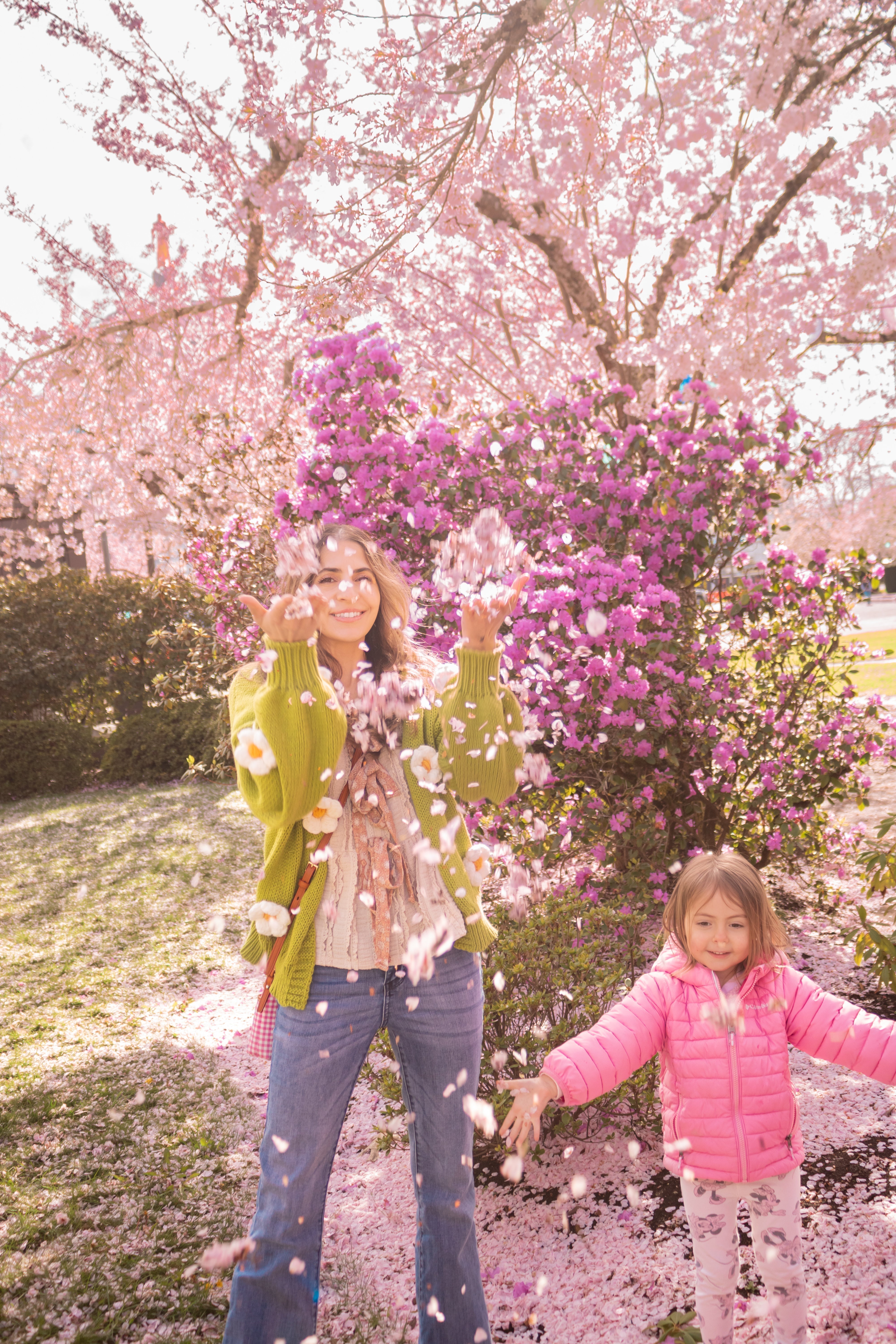 Cherry Blossom Season in Oregon | Here’s How to Catch It in Time