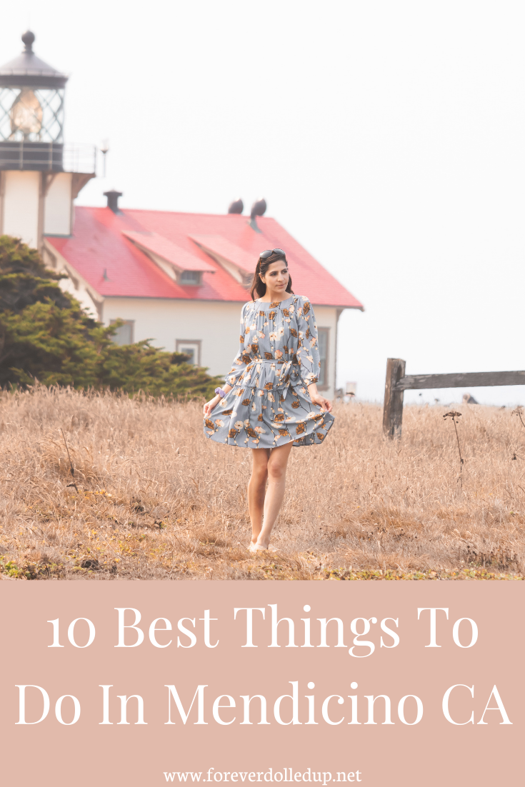 10 Best Things To Do In Mendicino California