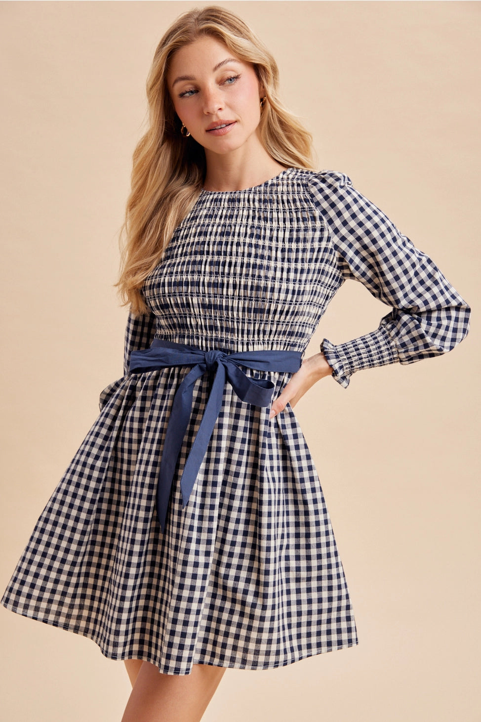 Falling for You Gingham Cotton Dress in Blue