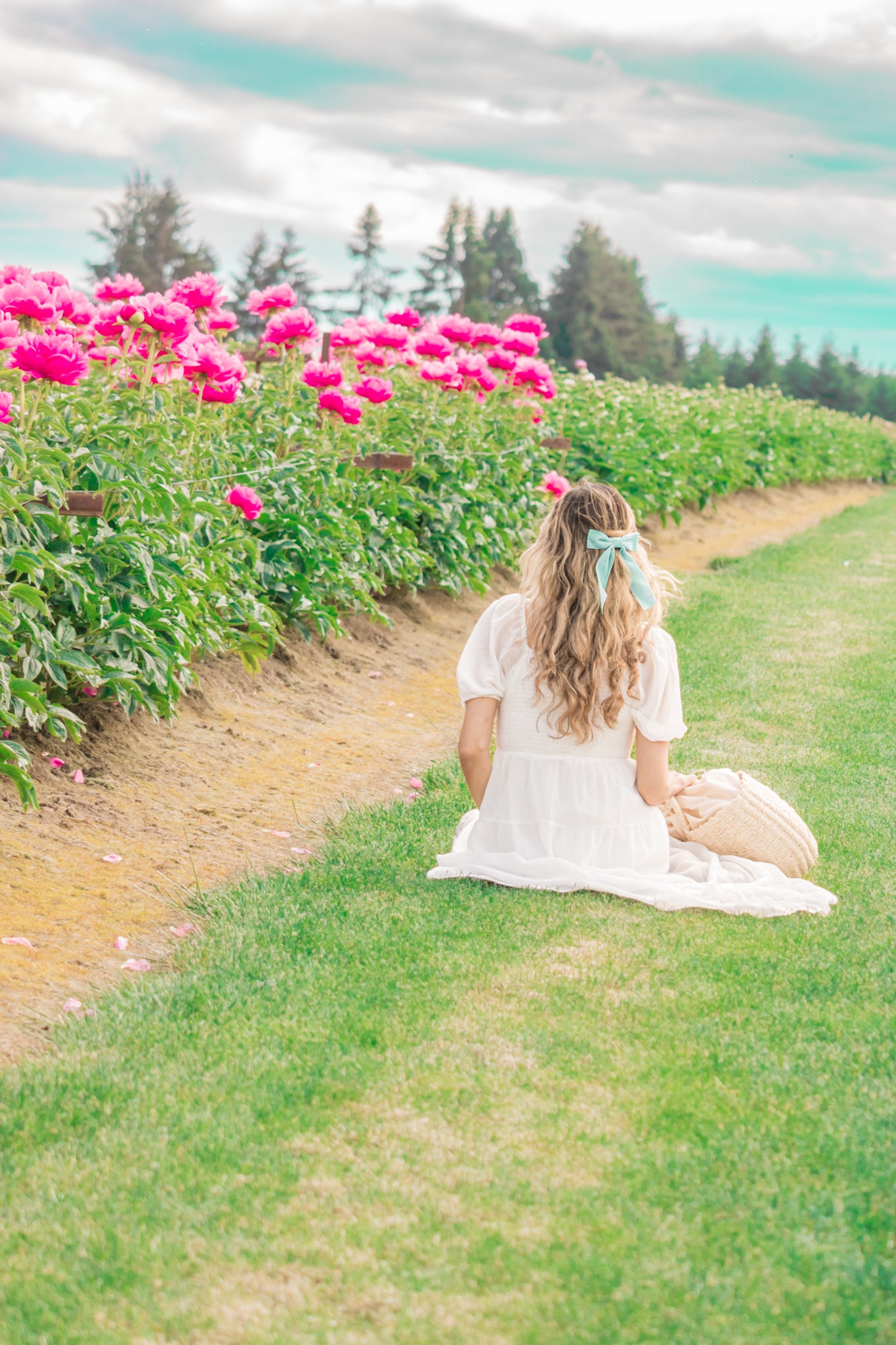 Visiting the Peony Fields of Adelman Peony Gardens in Oregon