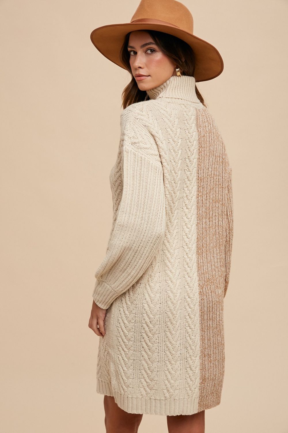 Cozy Contrast Turtleneck Knit Dress