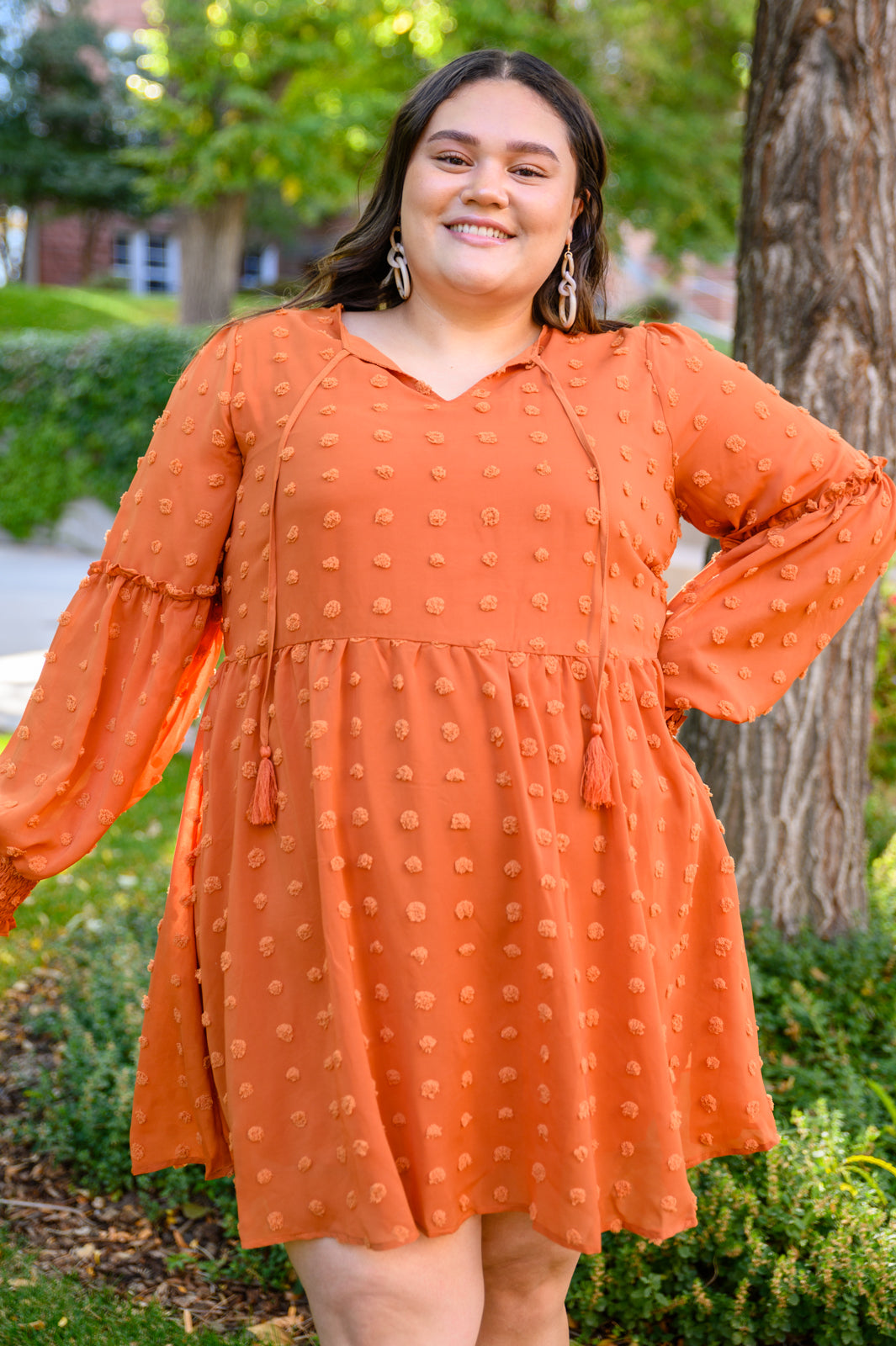 Special Feeling Swiss Dot Dress In Rust Plus Size Orange Dress -SALE- (SIZE 3XL LEFT)