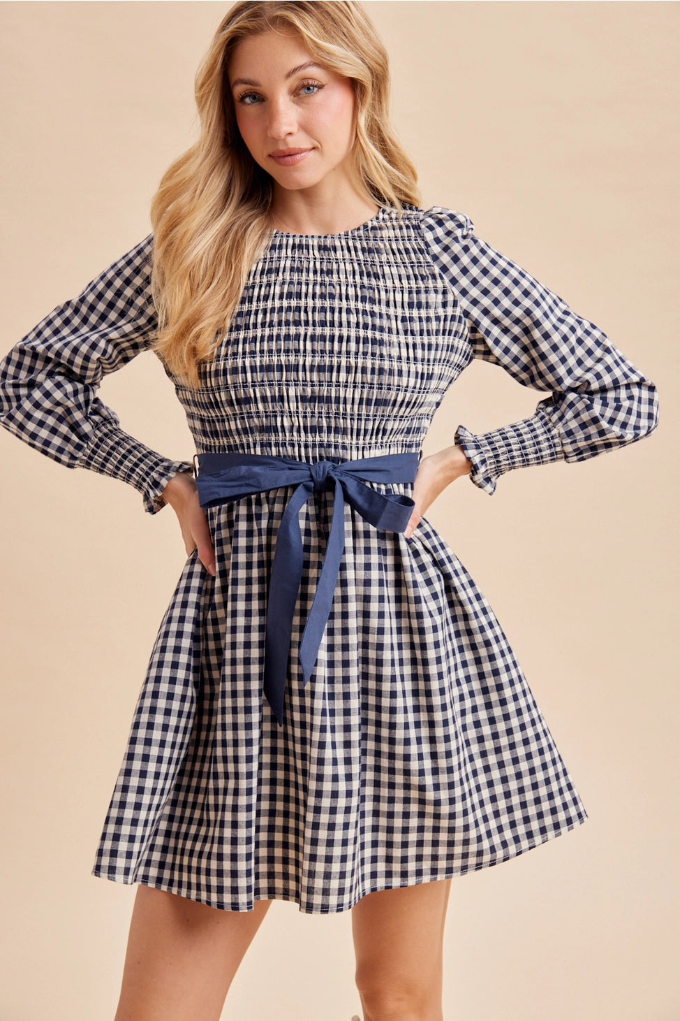 Falling for You Gingham Cotton Dress in Blue